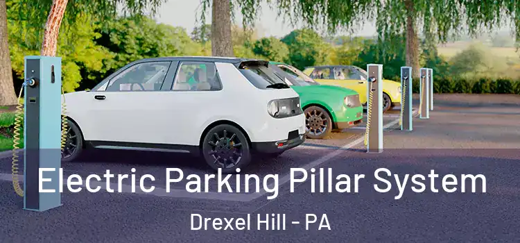 Electric Parking Pillar System Drexel Hill - PA